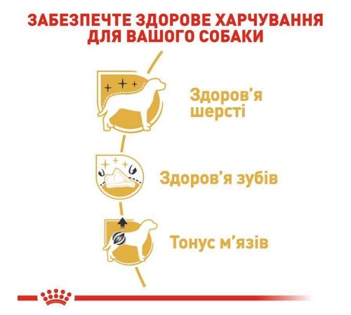 Royal Canin Poodle Adult - cухий корм з м'ясом птиці для дорослих собак породи Пудель 1,5 кг