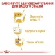 Royal Canin Poodle Adult - cухий корм з м'ясом птиці для дорослих собак породи Пудель 1,5 кг