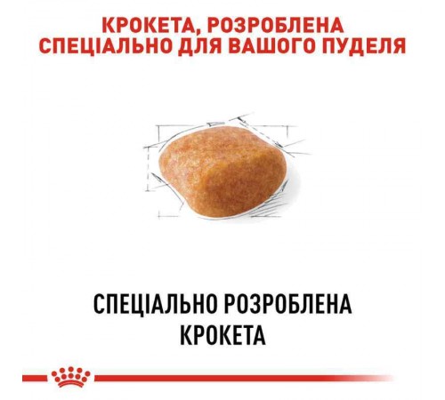 Royal Canin Poodle Adult - cухий корм з м'ясом птиці для дорослих собак породи Пудель 1,5 кг