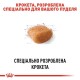 Royal Canin Poodle Adult - cухий корм з м'ясом птиці для дорослих собак породи Пудель 1,5 кг