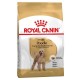 Royal Canin Poodle Adult - cухий корм з м'ясом птиці для дорослих собак породи Пудель 1,5 кг