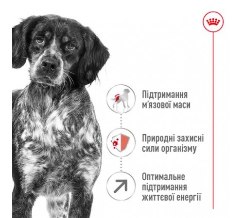Royal Canin Medium Adult 7+ - сухий корм для дорослих собак середніх порід старше 7 років, 15кг