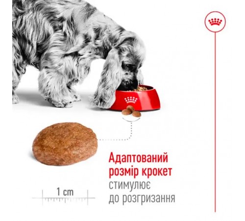 Royal Canin Medium Adult 7+ - сухий корм для дорослих собак середніх порід старше 7 років, 15кг
