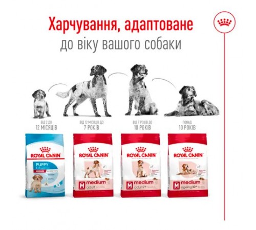 Royal Canin Medium Adult 7+ - сухий корм для дорослих собак середніх порід старше 7 років, 15кг