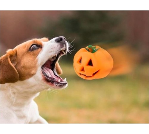 UniZoo - іграшка для собак "Гарбуз-монстрик", 9х9см