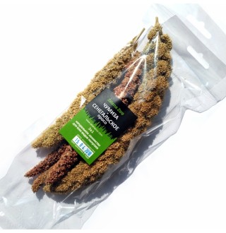 Zelena Zoo - Чумиза і Сенегальське просо в колосках 30 г