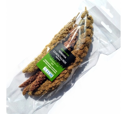 Zelena Zoo - Чумиза і Сенегальське просо в колосках 30 г