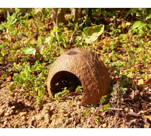 Zelena Zoo - кокосовий будиночок-хатинка для хом'яків, рибок та екзотів