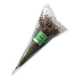 Zelena Zoo - Льон в колосках 30 г