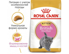 Royal Canin Kitten British Shorthair - сухий корм для кошенят породи британської короткошерстної у віці від 4 до 12 місяців 0,4кг