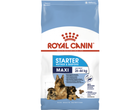 Royal Canin Maxi Starter - сухий корм для цуценят великих порід у період відлучення до 2-місячного віку, 1кг