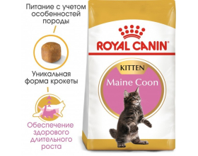 Royal Canin Mainecoon Kitten - сухий корм для кошенят породи мейн-кун віком від 3 до 15 місяців, 0,4кг