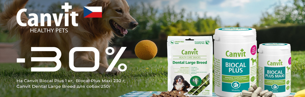 Canvit