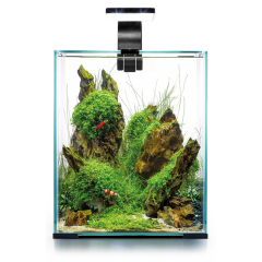 Акваріуми (73)