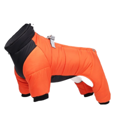 Одяг для собак (231)