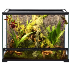 Тераріуми та фаунаріуми (10)