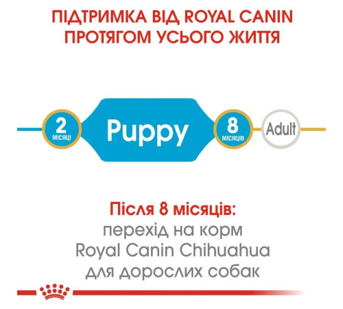 Сухий корм для цуценят Royal Canin Puppy Chihuahua 1,2 кг