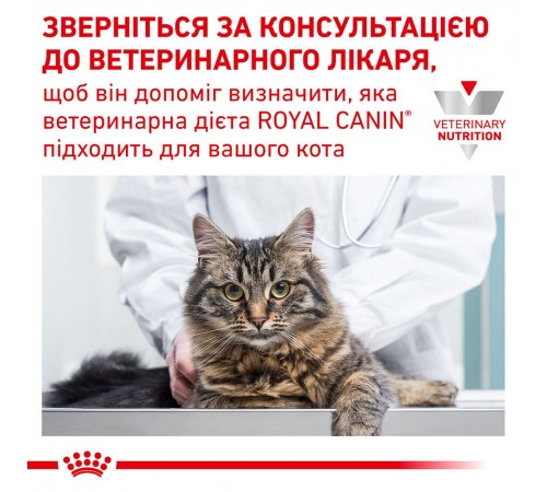 Сухий корм для котів Royal Canin Diabetic 400 г