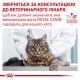 Сухий корм для котів Royal Canin Diabetic 400 г