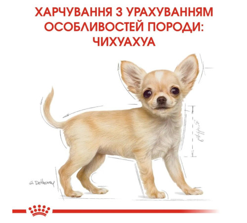 Сухий корм для цуценят Royal Canin Puppy Chihuahua 1,2 кг