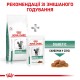 Сухий корм для котів Royal Canin Diabetic 400 г