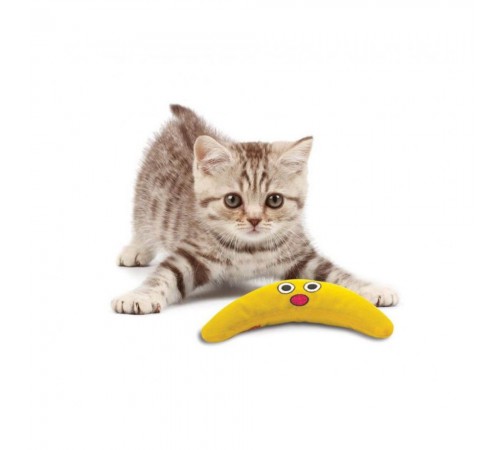 Іграшка для котів Petstages Green Magic Boomerang 21.6 см x 8.9 см x 2.5 см