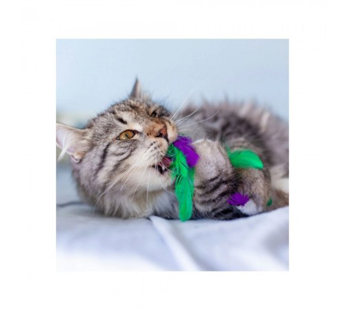 Іграшка для котів Petstages Krazy Kale 17 см