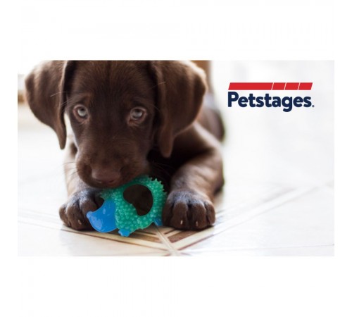 Іграшка для собак Petstages Cutie Chewies Hedgehog 8.5 х 13 х 1.5 см