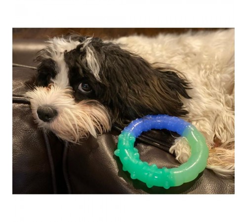 Іграшка для собак Petstages Orka Grow With Me Ring