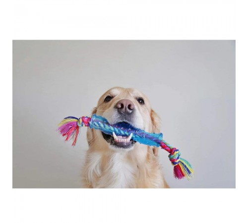 Іграшка для собак Petstages Orka Stick 3.8 см x 31.8 см x 3.8 см