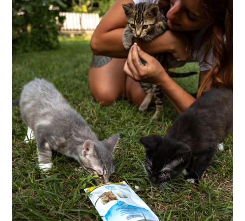 Ласощі для кошенят GimCat Every Day Kitten 40 г - асорті