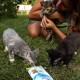 Ласощі для кошенят GimCat Every Day Kitten 40 г - асорті