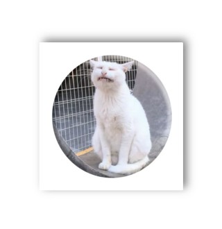 Стікер-3D Tatooshka Мем стрес