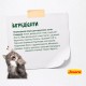 Сухий корм для котів Josera NatureCat Adult 2 кг - птиця та лосось