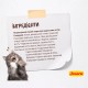 Сухий корм для котів Josera Naturelle 2 кг - чечевиця та форель