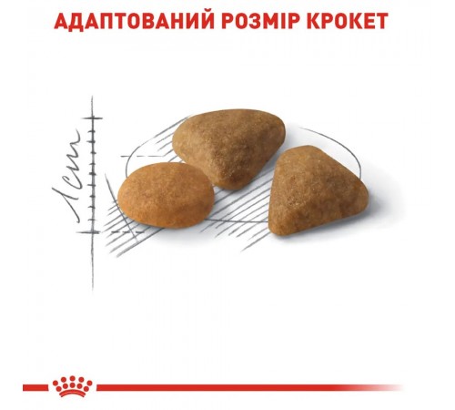 Сухий корм для котів Royal Canin Exigent Savour 4 кг + Catsan 5 л у подарунок