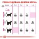 Сухий корм для котів Royal Canin Exigent Savour 4 кг + Catsan 5 л у подарунок