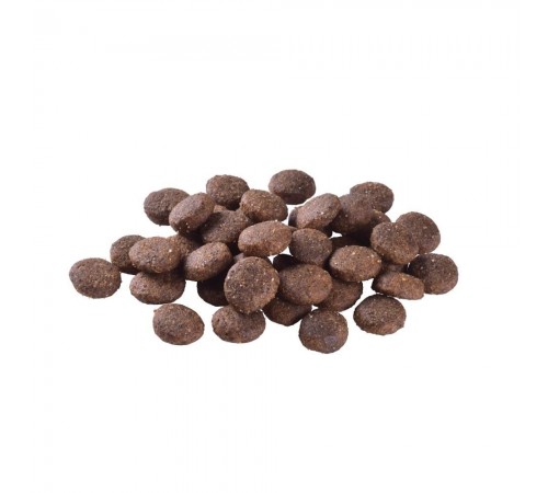 Сухий корм для цуценят Brit Care Dog Grain-free Junior Large Breed 12 кг - лосось