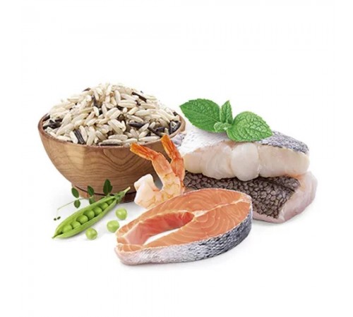 Сухий корм для собак Home Food Adult Medium 1,6 кг - форель і рис