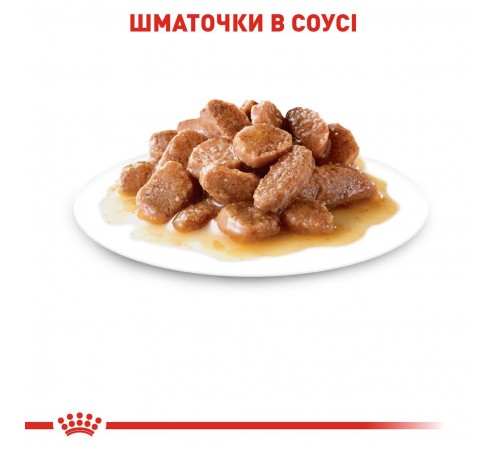 Вологий корм для котів Royal Canin Instinctive Gravy pouch 85 г