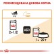 Вологий корм для котів Royal Canin Intense Beauty Gravy pouch 85 г