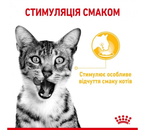 Вологий корм для котів Royal Canin Sensory Taste Jelly pouch 85 г