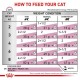 Вологий корм для котів Royal Canin Renal Gravy pouch 85 г