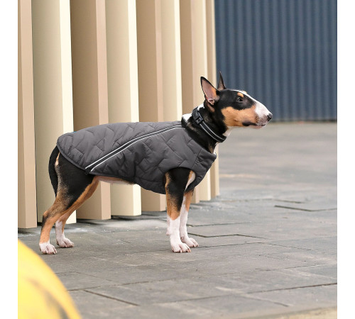 Жилет для собак Pet Fashion E.Vest XS-2 (сірий)