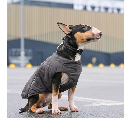 Жилет для собак Pet Fashion E.Vest XS-2 (сірий)