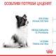 Сухий корм для цуценят Royal Canin X-Small Puppy 1,2 кг