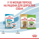 Сухий корм для цуценят Royal Canin X-Small Puppy 1,2 кг