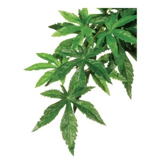 Декорація для тераріума Exo Terra рослина «Abuliton» M - шовк 45 см