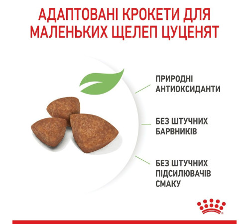 Сухий корм для цуценят Royal Canin X-Small Puppy 1,2 кг