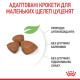 Сухий корм для цуценят Royal Canin X-Small Puppy 1,2 кг